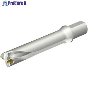 SANDVIK �R���h����DS20�n��������h����(465) DS20-D5100L50-05 (465) 1�{ ����351-5725 �y�����s�x���ρz ��KO521