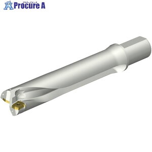 SANDVIK �R���h����DS20�n��������h����(465) DS20-D5600L50-05 (465) 1�{ ����351-7247 �y�����s�x���ρz ��KO521
