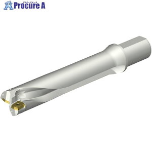 SANDVIK �R���h����DS20�n��������h����(465) DS20-D5300L50-05 (465) 1�{ ����351-7273 �y�����s�x���ρz ��KO521