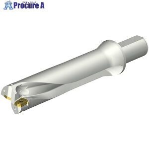 SANDVIK �R���h����DS20�n��������h����(465) DS20-D5080LX38-04 (465) 1�{ ����351-8829 �y�����s�x���ρz ��KO521