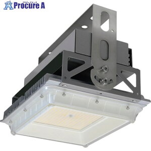 HotaluX ���V��pLED�Ɩ���� �p�`�X�^���_�[�h���f�� �d����̌^ �����F17500lm �L�p�^�C�v DRGE17H13S/N-PJX8 1�� ����562-5810 �y�����s�x���ρz