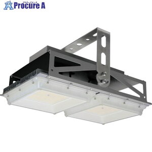 HotaluX ���V��pLED�Ɩ���� �p�`�X�^���_�[�h���f�� �d����̌^ �����F29000lm �L�p�^�C�v DRGE30H13S/N-PJX8 1�� ����562-5811 �y�����s�x���ρz