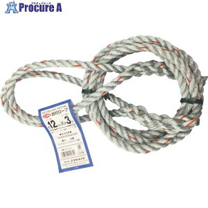 ^JCN t[v PEPPa[v 12mmX3m DR-123 1{ 855-2742