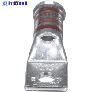 PANDUIT �������k�[�q 1�� �R�l��d���}���� �d���T�C�Y AWG2 ��t���T�C�Y 69mm LCAF2-14-E LCAF2-14-E 1�� ����166-6638 �y�����s�x���ρz