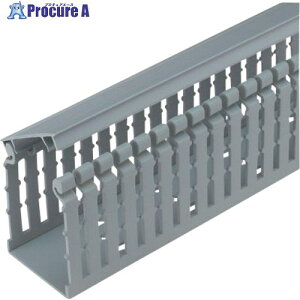PANDUIT �q���W�^�C�v�z���_�N�g(�i���[�^�C�v) ���C�g�O���[ HN2X4LG6 6FT(�t�B�[�g) 1�{ HN2X4LG6 1�{ ����167-3055 �y�����s�x���ρz���ԏ�n��