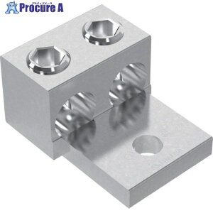 PANDUIT �A���~�����J�j�J���R�l�N�^�[ 1��2�o�������O �d���T�C�YAWG4-600kcmil LAM2A600-12-6Y LAM2A600-12-6Y 1�� ����168-2392 �y�����s�x���ρz