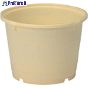 TR[ Е^ 400502 5K-4({) N[ 400502CL00 C 1 217-6038yϕszysxρz