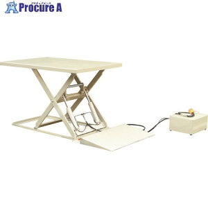 ダンディ 電動式昇降テーブルリフト フラットリフト Lサイズ W1450×D750 FL-LH 1台 ■▼208-2614 【送料都度見積】※車上渡し