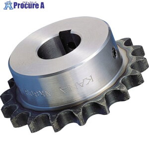 KANA FB�X�v���P�b�g40 ����45 �K���`�F�[��No.40 FBN40B45D35 1�� ����804-3776 �y�����s�x���ρz