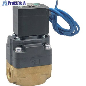 CKD ���p���`�p�C���b�g���d���� FWD11-20A-02C-AC100V 1�� ����838-7990 �y�����s�x���ρz