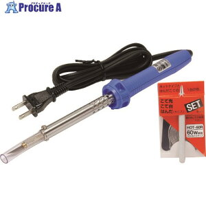 �O�b�g �z�b�g�i�C�t60W�����^ HOT-60R 1�� ��854-9755