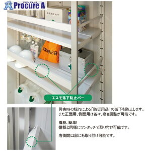 ���h�R�E �G�X�������h�~�o�[ (���ʗp)10L ESF RAKKABOUSIBAR SYOUMEN 10L 1�{ ����687-8536 �y�����s�x���ρz