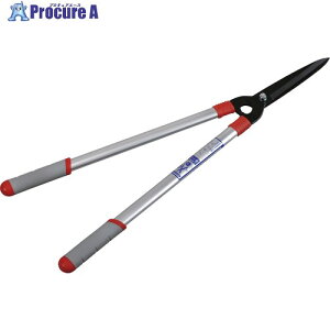 GS V^A~() 2038 1 868-2971yϕszysxρz