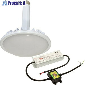 NICHIDO nCXybNnCfBXN100W duOt^ F  Ch L100V2-E39-HMW-50K-N 1 161-8938