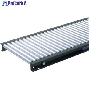 TS �X�`�[�����[���R���x�� ��25.4XW100XP30X1000L LS25-100310 1�� ����462-4866 �y�����s�x���ρz���l��l����s��