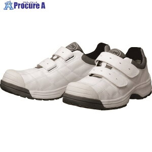 _CiXeB SƌC _CiXeBvtFbVi zCg 24.5cm DYPR11M245 1 147-0198 ysxρz