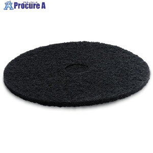 KARCHER @pANZT[ pbh (BD450/BD530)5(6.369-022.0) 6.369-022.0 1 314-8563