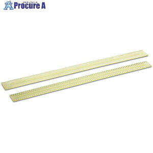 KARCHER @pϖXNC[W[S BD/BR 100/250R 6.273252.0 1 453-2020