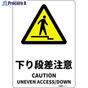 �Z�[�t���� JIS�K�i���S�W����(HIPS) M�T�C�Y ����i������ 254x356 J2571-PM 1�� ����685-3502 �y�����s�x���ρz