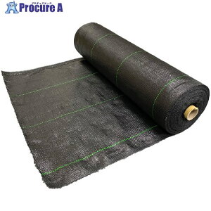 �Z�[�t���� �h���V�[�g �u���b�N 60cmx50m TW007-60 1�� ����685-4717 �y�����s�x���ρz
