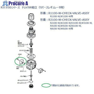 CKD R1100AW1100V[Yp `FbNّg R1100-W-CHECK-VALVE-ASSY 1 688-6559yϕszysxρz
