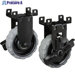 ^W} ZtԌp܏݃LX^[փZbg CT-DHTORCR 1g 683-1424 ysxρz