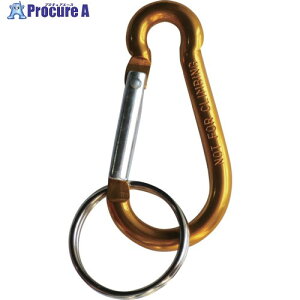 DAIDOHANT �A���~�X�i�b�v�t�b�N 6mm �S�[���h (A)62×(B)30×(C)13mm 10102364 1�� ����688-5471 �y�����s�x���ρz