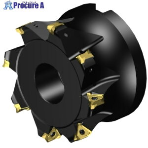 SANDVIK R~MS60Jb^[(455) MS60-AR102R38-16M 1 657-2313 ysxρz KO521