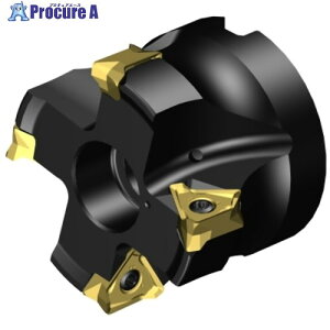 SANDVIK R~MS60Jb^[(455) MS60-AR051R19-16M 1 657-2324 ysxρz KO521