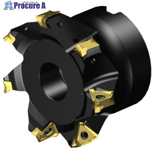 SANDVIK �R���~��CoroMill[[R��]]MS60 �����J�b�^�[(455) MS60-AR076R25-16M 1�� ����657-2385 �y�����s�x���ρz ��KO521