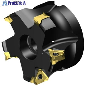 SANDVIK �R���~��MS60�����J�b�^�[(455) MS60-AR063R25-16M 1�� ����657-2397 �y�����s�x���ρz ��KO521