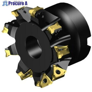 SANDVIK �R���~��MS60�����J�b�^�[(455) MS60-AR076R25-16H 1�� ����657-3950 �y�����s�x���ρz ��KO521