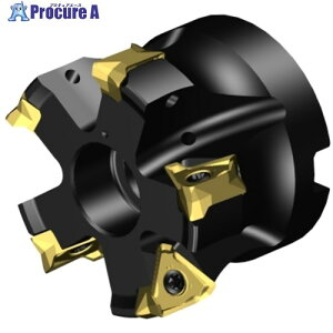 SANDVIK R~MS60Jb^[(455) MS60-AR051R19-16H 1 657-3977 ysxρz KO521