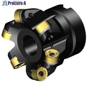 SANDVIK ���ʃt���C�X�J�b�^�[ CoroMillMR80(440) MR80-AR063R19-12M 1�� ����657-3982 �y�����s�x���ρz ��KO521