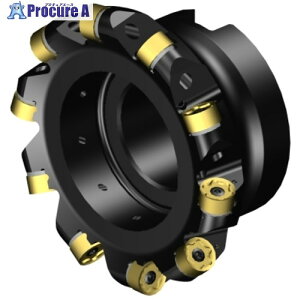 SANDVIK ���ʃt���C�X�J�b�^�[ CoroMillMR80(440) MR80-AR102R38-12M 1�� ����657-5567 �y�����s�x���ρz ��KO521