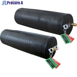 Hoshin ~{[ O^Cv 500-1000 oCpXt PL500-1000BA 1{ 114-9399 ysxρzԏn