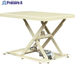 ダンディ 電動式昇降テーブルリフト パレットリフト Mサイズ W1100×D1150 PL-M 1台 ■▼208-2611 【送料都度見積】※車上渡し