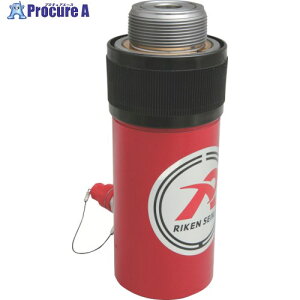 RIKEN �P���������V�����_�[ �C���`�˂� �X�g���[�N250mm VC�J�v���t S2-250VC S2-250VC 1�� ����819-9904 �y�����s�x���ρz