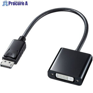SANWA DisplayPort-DVIϊA_v^ AD-DPDV04 1 537-6646 lls