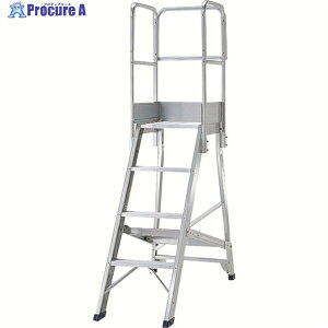 PiCa DWS�p�V�O���肷�� DWS-TE1B 1S ����162-5808 �y�����s�x���ρz