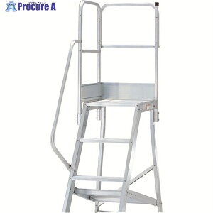 PiCa DWS�p�K�i�Ў肷��V��� DWS-TE9B 1S ����162-7337 �y�����s�x���ρz