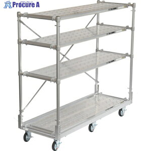 PiCa A~jE I CAG-F1850-Z 1S 243-0569 ԏn