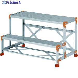 PiCa ��Ƒ� FGN�^ 2�iW1000×D400×H600 FGN-2X60 1�� ����384-2813