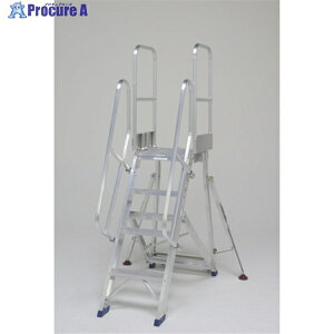 PiCa ܂肽ݎƑ Ki肷V DXR-TE1 1S 496-3831 ysxρz