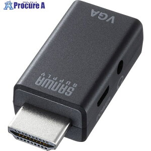 SANWA HDMI-VGAϊA_v^(I[fBIo͕t) AD-HD25VGA 1 572-5889