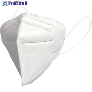 CAR-BOY KN95 \}XN zCg 1 FM-03 1 421-0126 ysxρz