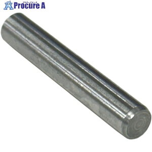 �R�m�G ���s�s��A�� S45C 13×55 PARAPINA-45C-1355 1�{ ����712-0062 �y�����s�x���ρz