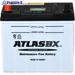 �X�[�p�[�H�� �o�b�e�� 55B24R 04242026 1�� ����707-2824 �y�����s�x���ρz