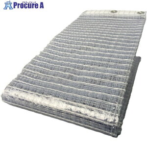 ^JCN V[g ȈՊԎd؂V[g(t[) 2m×3m NA B319 1 367-5076