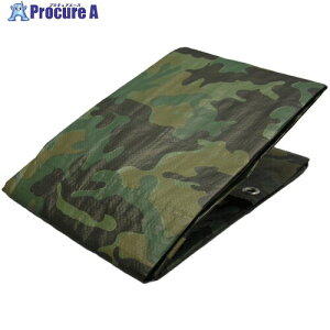 ���^�J���C�N �J���[�V�[�g #2000���ʃV�[�g 3.6×5.4m MS20-11 (3.6MX5.4M) 1�� ��367-6129